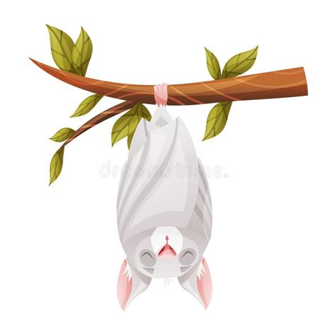 Funny Grey Bat With Cute Snout Hanging Upside Down On Tree Branch And