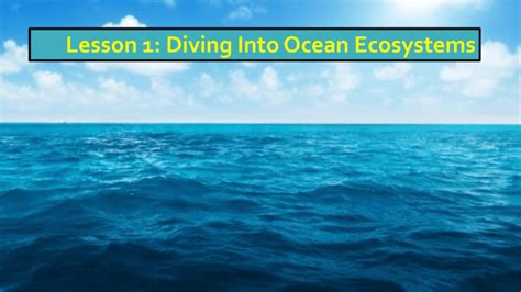 Lesson 1 Diving Into Ocean Ecosystems