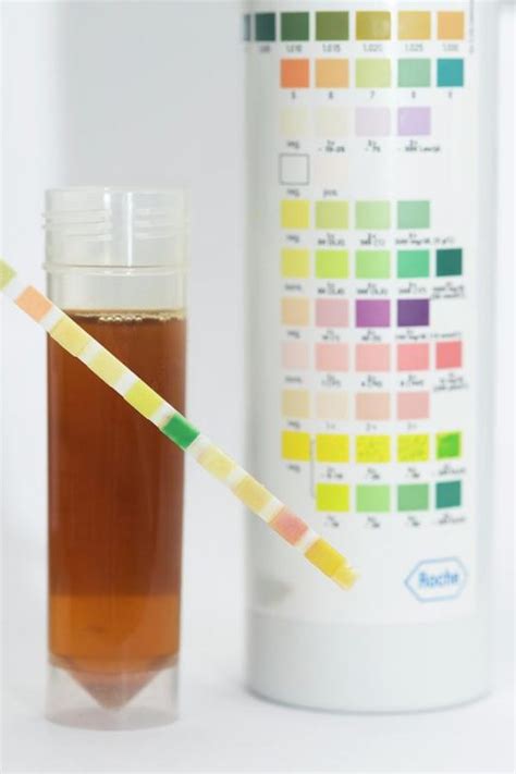 Simple Science: How to Make a Volcano with Kids