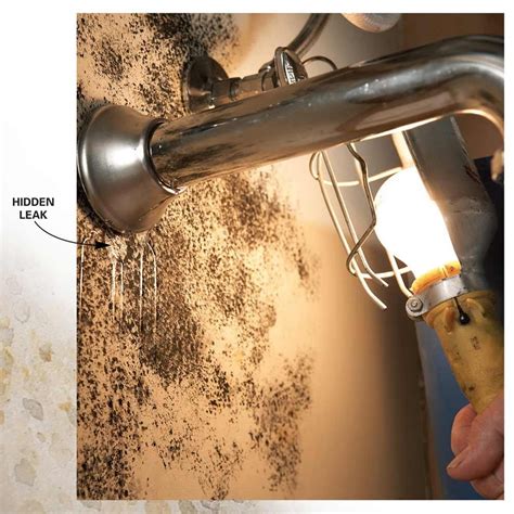 Tips For Removing Mold And Mildew The Family Handyman