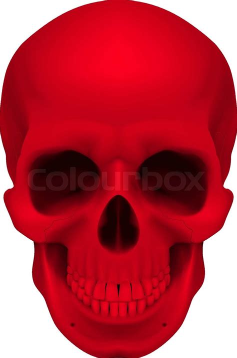 Red Skull Stock Vector Colourbox