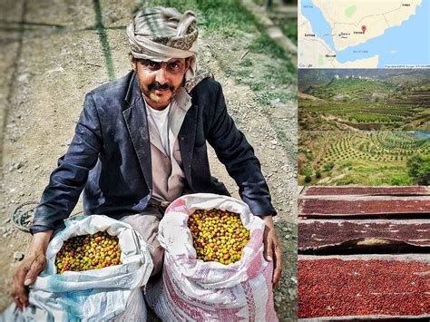 Yemeni Coffee What It Is History And Brewing Tips Wehalal