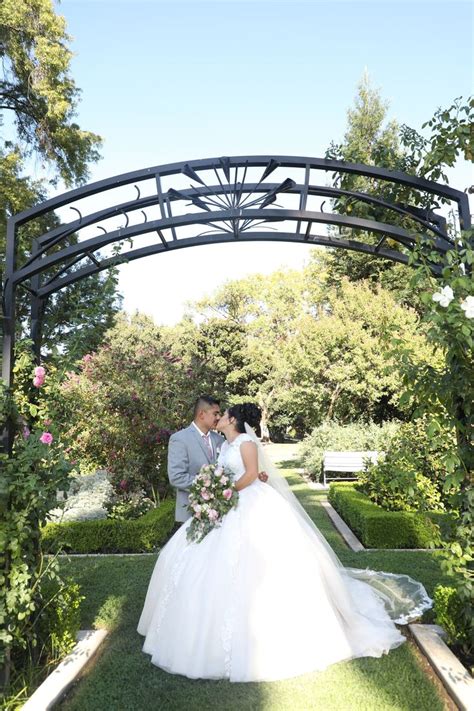 50 to 90% off deals in sacramento. McKinley rose garden in Sacramento Ca photoshoot by ...