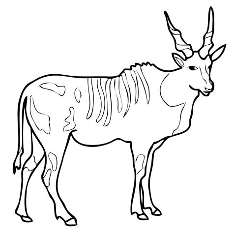 Eland Coloring Page Colouringpages
