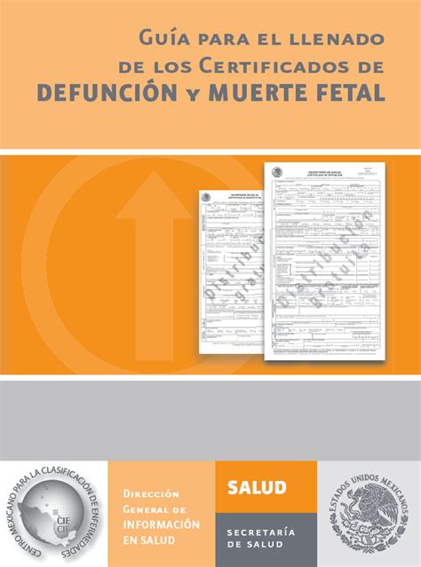 Guia Llenado Cert Defuncion Y Muerte Fetal Guía Para El Llenado De