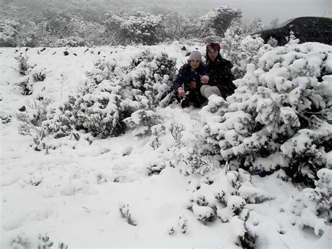 Os registros mais intensos foram feitos na quarta. Beto Grego Radialista: NEVE NO BRASIL RS E SC 3, 4, 5 DE ...