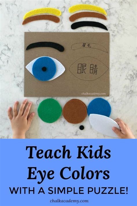 How To Make A Felt Eye Puzzle Human Anatomy Activity For Kids In 2020