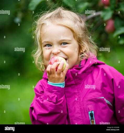 Little Girl In The Apple Garden Stock Photo Alamy