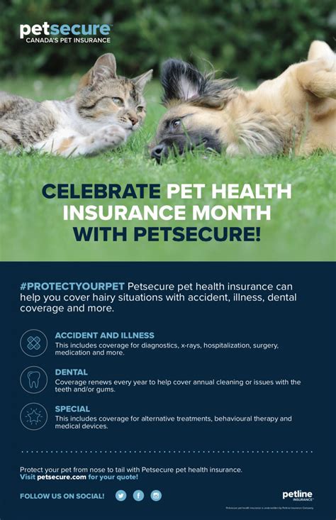 We use our health insurance to help defray the costs related to our healthcare including certain treatments, diagnostic exams. September is Pet Health Insurance Month! - Happy Tails ...