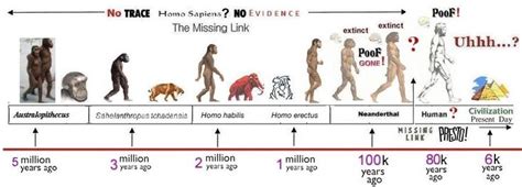 Human Evolution Paleontology Pinterest History Timeline And Equation