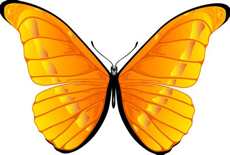 11 Clipart Yellow Butterfly Png - Movie Sarlen14 png image