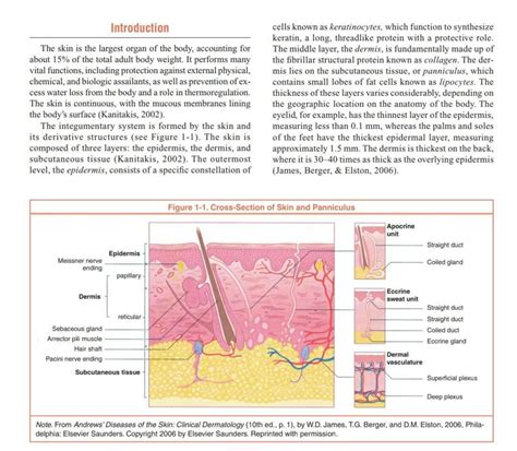 Solution Anatomy And Physiology Of Skin Studypool