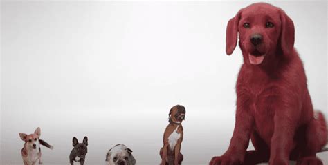 A young girl's love for a tiny puppy named clifford makes the dog grow to an enormous size. 'Clifford The Big Red Dog': Release date, plot, cast ...