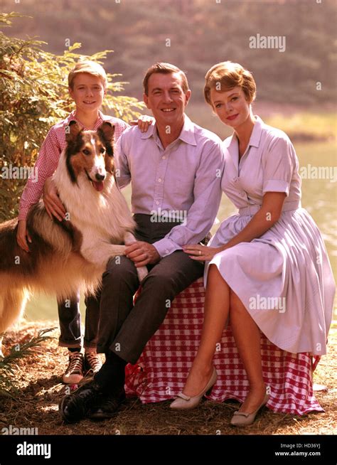 Lassie Lassie Jon Provost Hugh Reilly June Lockhart 1954 1974