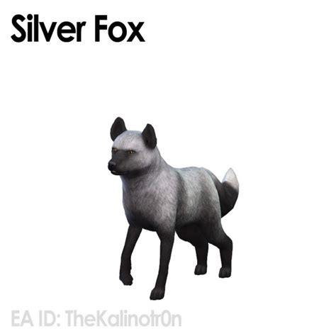 African Serval Silver Fox Grizzly Bear And Otter At Kalino Sims 4