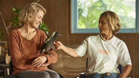 Penguin bloom is a new netflix movie based on a true story starring naomi watts and andrew lincoln! Penguin Bloom: Stars walk the red carpet for Australian ...