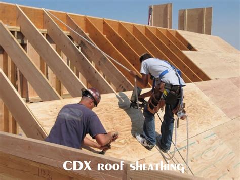 Cdx Or Osb For Roof Sheathing Integrity Roofing And Construction