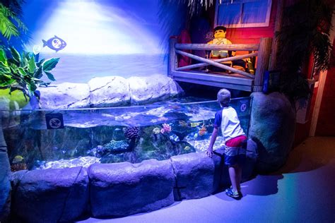 Sea Life Aquarium At Legoland California Carltonauts Travel Tips