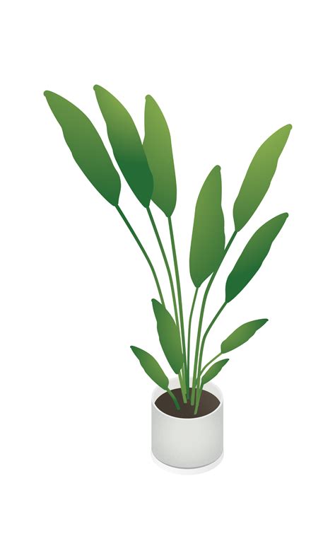 Plant Vector Png At Collection Of Plant Vector Png