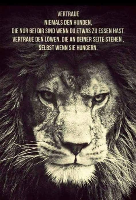 Wann hat man welches sternzeichen? Vertraue den Löwen | Liebe | Pinterest | Der löwe ...