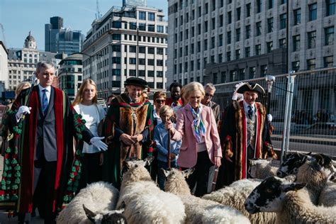 Miners have a job to 'fish' for transactions held in memory pools on the network. Why Is There an Annual Sheep Drive Across London Bridge?