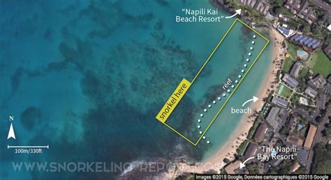 All You Need To Know About Snorkeling Napili Bay How To Get There