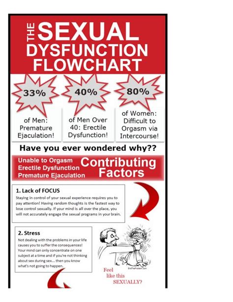 The Sexual Dysfunction Flowchart Infographic