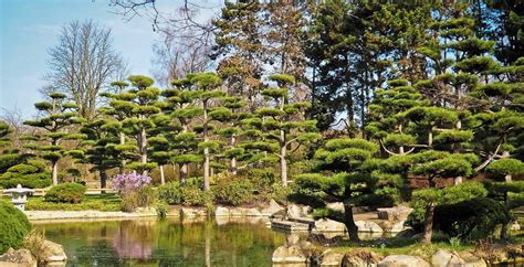 283 #2 of 40 things to do in kaiserslautern. Japanischer Garten - Ein Pol der Ruhe für Sie Zuhause
