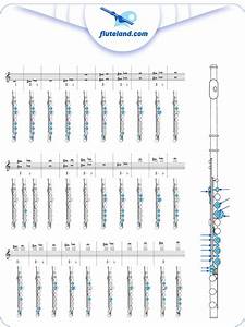 Sample Flute Chart Free Download