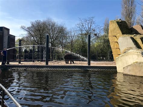 A Day Trip To Amsterdam Artis Royal Zoo Amys Balancing Act