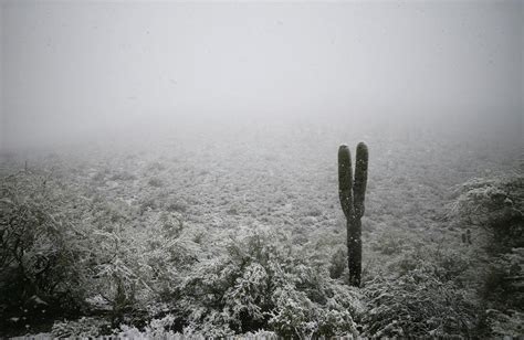 the last time it snowed and stuck in the city of tucson with 10 gorgeous photos of snow in