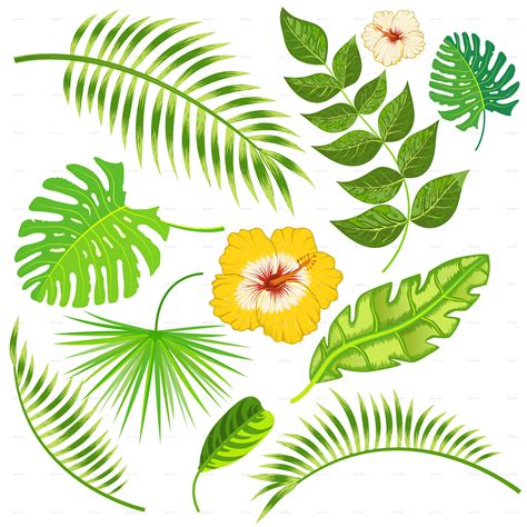 Tropical Leaves and Flowers Vector by yayasya | GraphicRiver