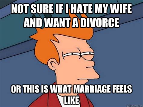 Not Sure If I Hate My Wife And Want A Divorce Or This Is What Marriage Feels Like Futurama Fry