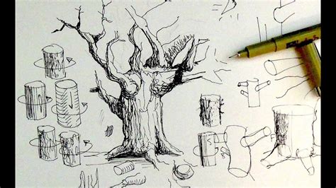 Pen And Ink Drawing Tutorials How To Draw Tree Trunks And Branches Youtube