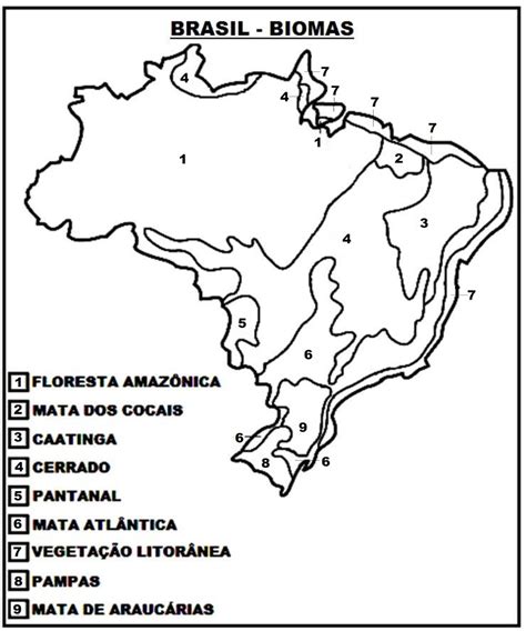 Mapa Biomas Brasileiros Para Colorir Educa
