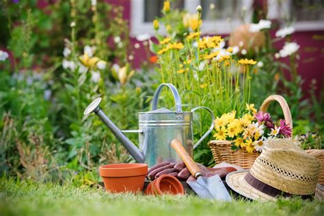 8 Spring Gardening Tips To Help Your Yard Flourish