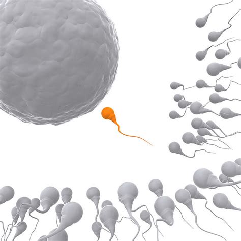 Donor Sperm The Choice Is Yours Genesis Fertility Centre