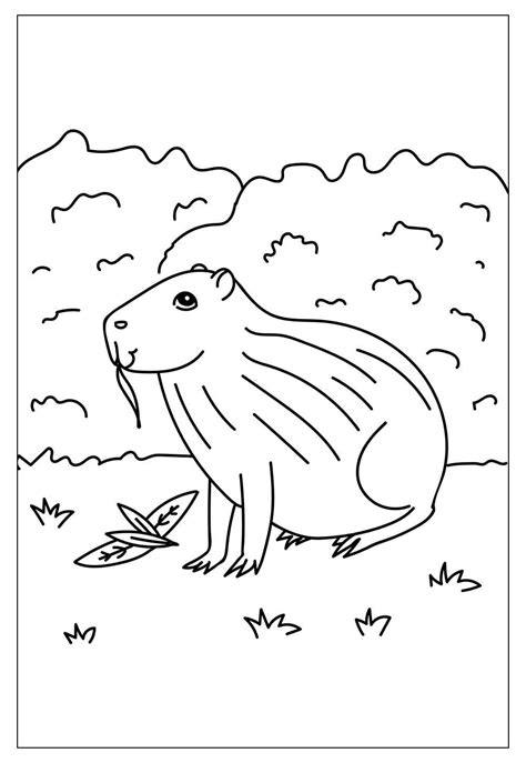 Desenhos De Capivara Para Colorir E Imprimir Tudo Para Colorir