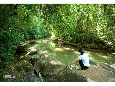 A boutique treehouse accommodation set in 100 acres of pristine ancient rainforest. The Canopy Rainforest Treehouses and Wildlife Sanctuary in ...