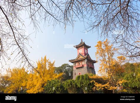 Chengdu Clock Tower With Trees In Autumn Stock Photo Alamy