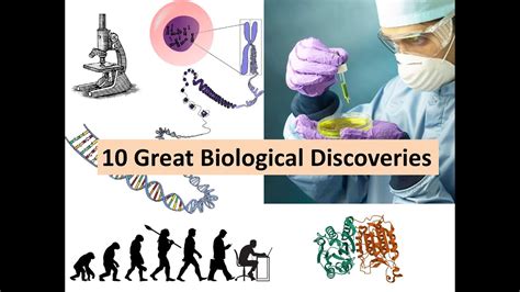 10 Great Biological Discoveries Scientific Advances That Transformed
