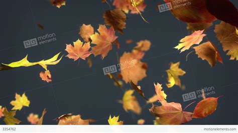 Falling Leaves Loopable Background Stock Animation 3354762
