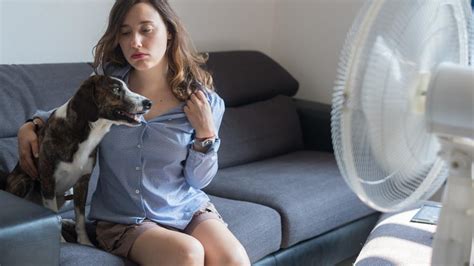 C Mo Combatir El Calor En Casa Este Verano Trucos Eficaces