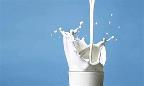 We did not find results for: Only six milk brands fit for consumption in Pakistan ...