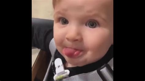 Best Funny Baby Of Tik Tok Compilation YouTube