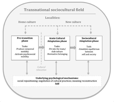 Cultural Transition Model Download Scientific Diagram
