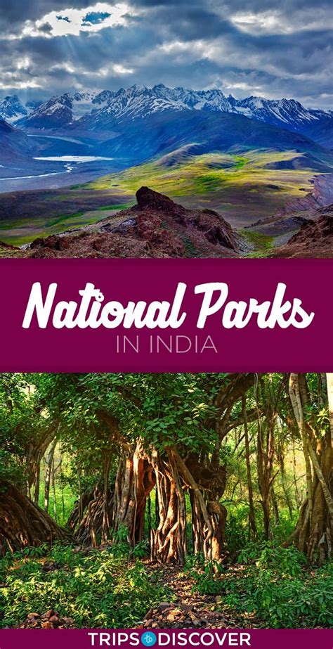 10 National Parks In India For Your Travel Bucket List Adventure