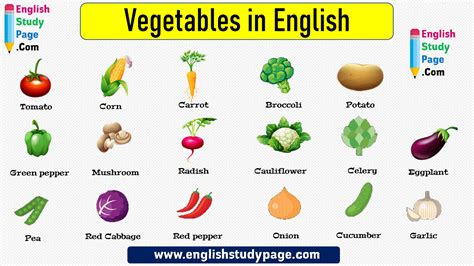 17 Vegetables Names In English English Study Page