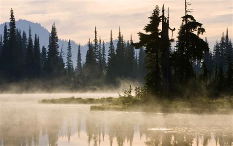 Lake Tree Landscape Snow Water Outdoors Wood Conifer Mountain Lake