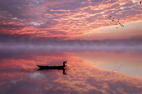 Reflection Great Sunsets Fog Clouds Lake Boat Birds Beautiful
